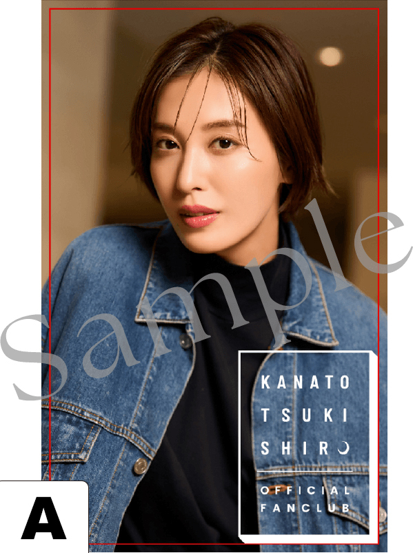 月城かなと写真集セット 月城かなと写真集「Moonlit」（DVD付）: ブック - 宝塚